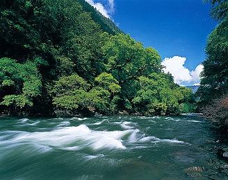 传《最后的生还者2：复刻版》由顽皮狗新人打造