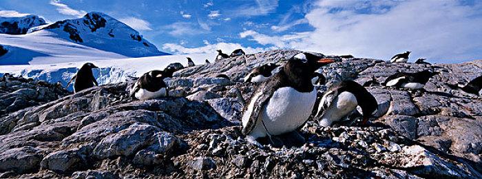 冒险视觉小说《英雄与花园》上线Steam 2022年5月正式发售