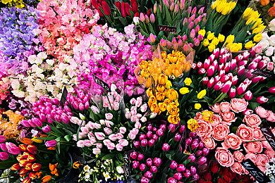 《圣剑传说 Visions of Mana》真人宣传片 夏季发售